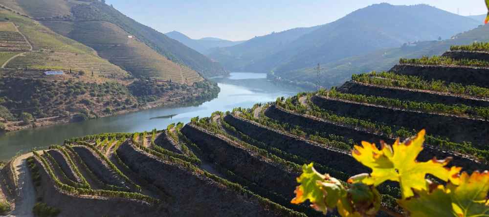 O que fazer no Douro Roteiro com atrações imperdíveis